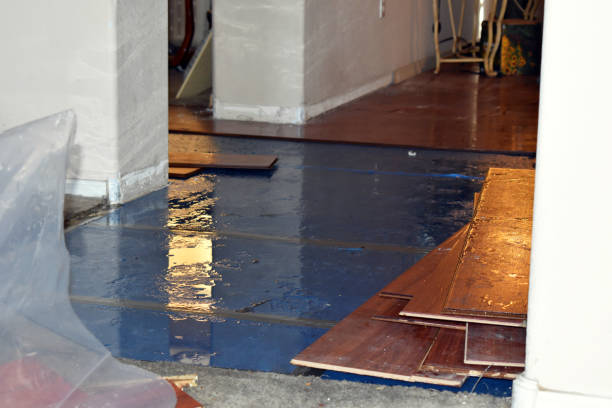 Professional Burst Pipe Cleanup technician working in Bentley, MI